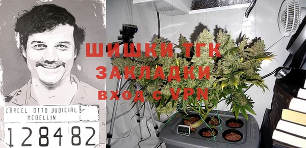 стафф Дубовка