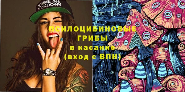 стафф Дрезна