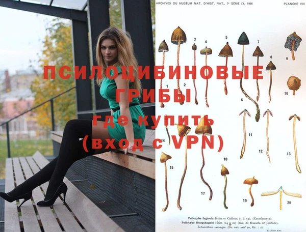ешки Сосновка