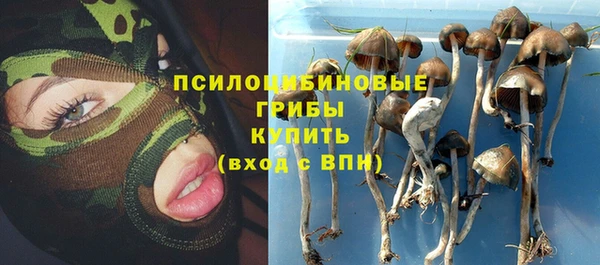 герыч Россошь