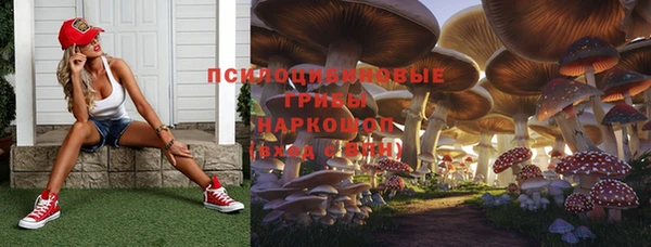 стафф Дубовка