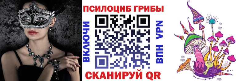 кракен ONION  Балахна  Галлюциногенные грибы мицелий 