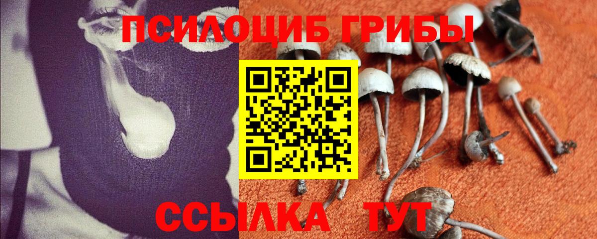 Галлюциногенные грибы мицелий  Галлюциногенные грибы Cubensis  Балахна  Вход с VPN 