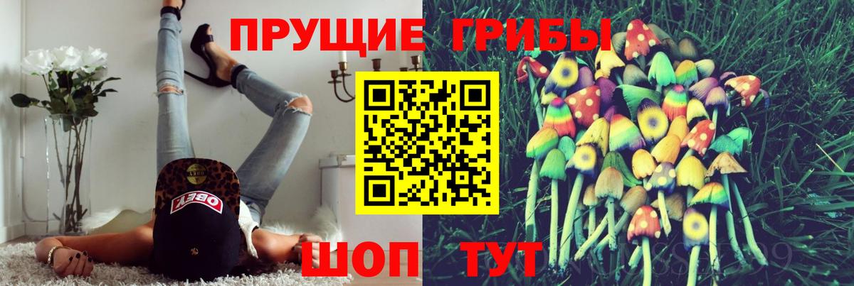 Псилоцибиновые грибы мухоморы Балахна